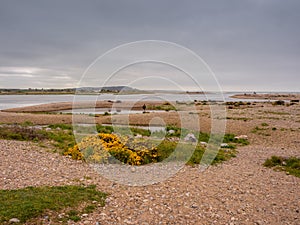 Spey bay