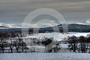 The Spey River in winter