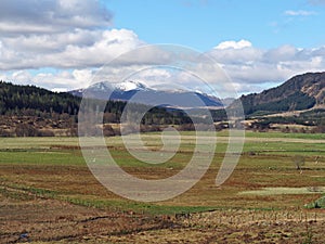 Spey valley, west of Laggan, Scotland in spring