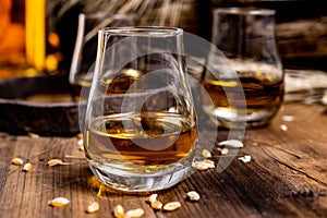 Speyside scotch whisky tasting on old dark wooden vintage table with barley grains