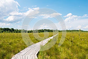 Sphagnum bog Yelnya in Belarus