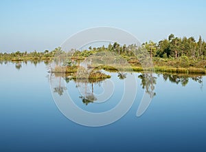 Sphagnum bog Yelnya in Belarus