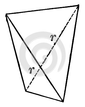 Sphenoid vintage illustration