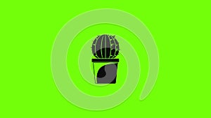 Sphera cactus pot icon animation