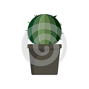 Sphera cactus pot icon, flat style photo