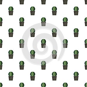 Sphera cactus pot pattern seamless vector