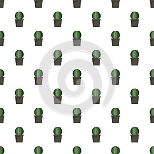 Sphera cactus pot pattern seamless vector photo