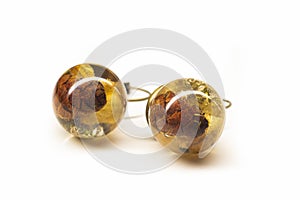 Sphere ball earrings with natural plants