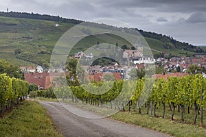 Hiking GR5 through the Vosges