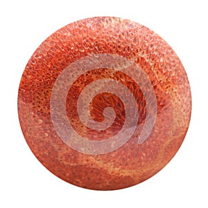 Sphere from pressed red coral isolated