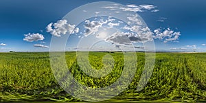 spherical 360 hdri panorama among green grass farming field with clouds on blue sky with sun in equirectangular seamless