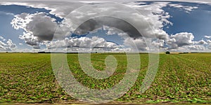 spherical 360 hdri panorama among green grass farming field with storm clouds on blue sky in equirectangular seamless projection,