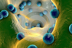 Spherical bacteria inside bone tissue