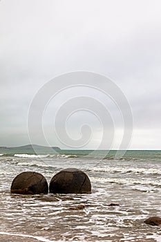 The spherical boulders of Moeraki on the Pacific coast. New Zealand