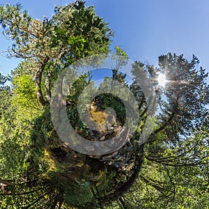 Spherical panorama of 360,180 creek in a dense forest green little planet
