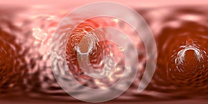 Spherical panorama view inside blood vessel