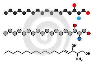 Sphingosine lipid molecule.