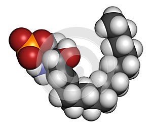Sphingosine-1-phosphate S1P signaling molecule. 3D rendering. Atoms are represented as spheres with conventional color coding:.