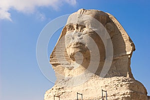 The Sphinx