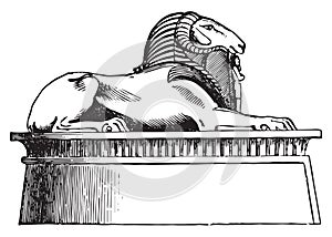 Sphinx. Set of Egyptian labels and elements. Vector set illustration template tattoo.