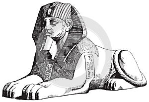 Sphinx. Set of Egyptian labels and elements. Vector set illustration template tattoo.