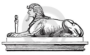 Sphinx. Set of Egyptian labels and elements. Vector set illustration template tattoo.