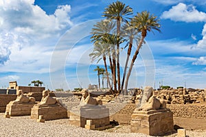 Sphinx Allee in Luxor, Egypt