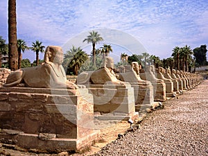 Sphinx alley in Luxor. Statue of pharaoh.