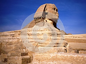 The sphinx in Cairo in Egypt.