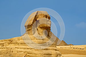 Sphinx cairo egypt