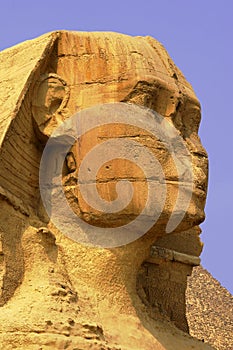 Sphinx cairo egypt