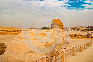 The sphinx in Cairo, Egypt