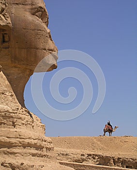 Sphinx and camel