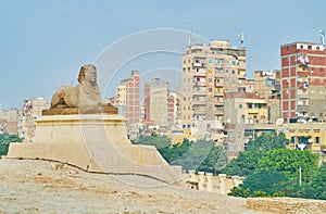 The sphinx in city, Alexandria, Egypt