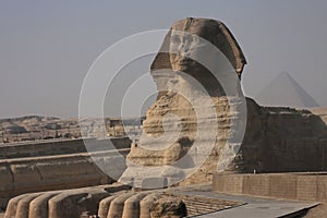 Sphinx in Egypt