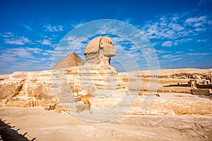 Sphinx. Egypt
