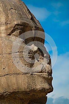 The sphinx in Egypt