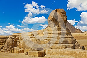 Sphinx photo