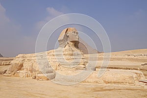 The Sphinx Giza Cairo Egypt Africa