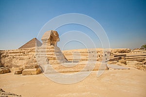 Sphinx at Giza in Egypt