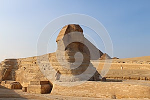 The Sphinx - Giza Egypt