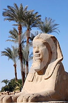 Sphinx, Luxor