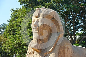 Sphinx of Memphis