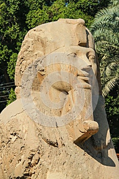 Sphinx of Memphis