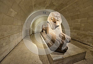 Sphinx in Museum Louvre