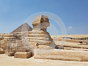 The sphinx with pyramid in background in giza, egypt