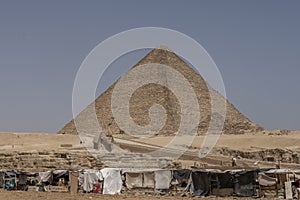 Sphinx with pyramids in the background