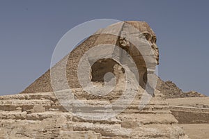 Sphinx with pyramids in the background