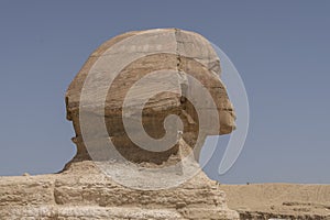 Sphinx with pyramids in the background