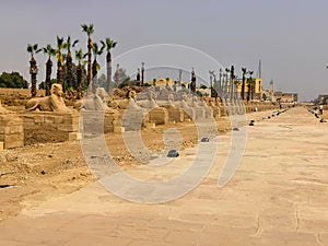 Sphinx road egypt